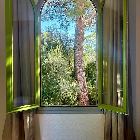 Les Grillons Presqu'île De Giens Vue Villa *