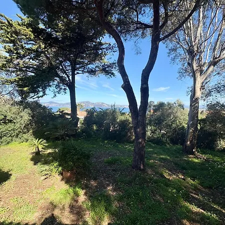 Les Grillons Presqu'ile De Giens Vue 别墅