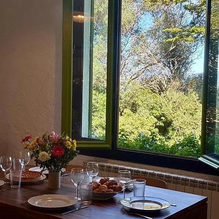 Les Grillons Presqu'ile De Giens Vue Hyeres